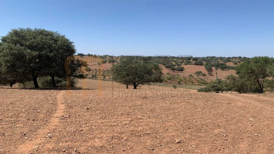 Terreno Agricola ou Rústico para Venda em Santana de Cambas Foto 5