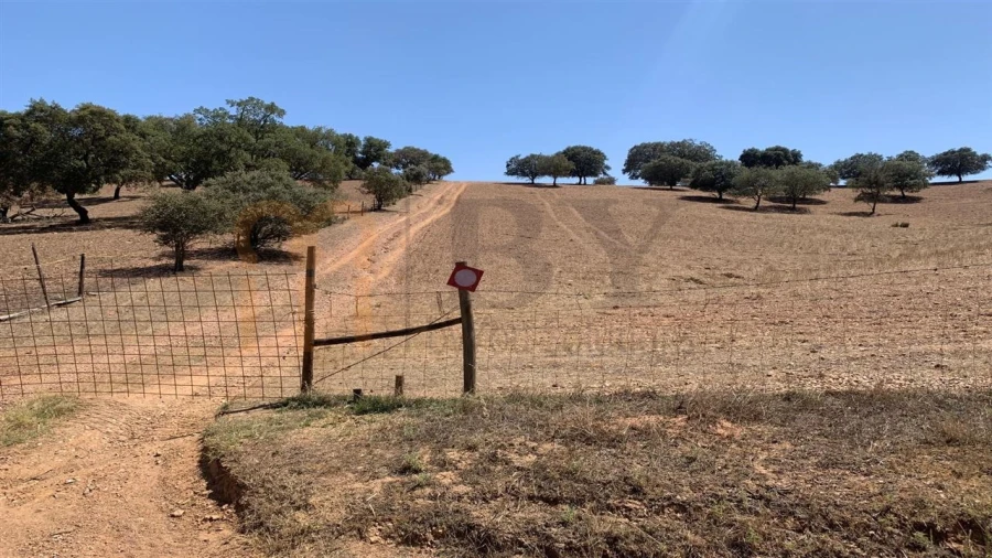 Terreno Agricola ou Rústico para Venda em Santana de Cambas Foto 9