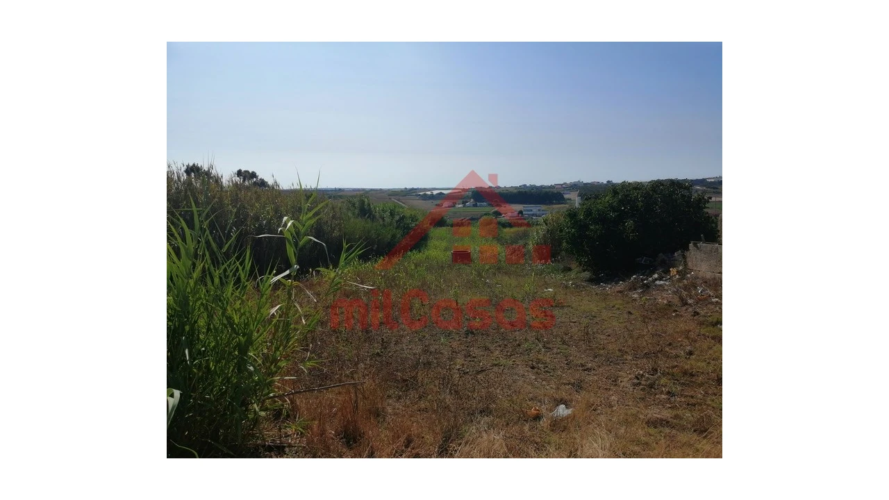 Terreno para Venda em Silveira Foto 2