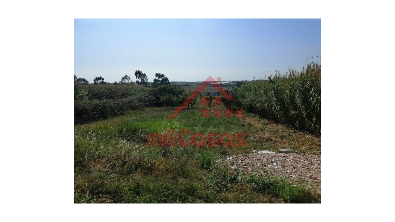 Terreno para Venda em Silveira Foto 1