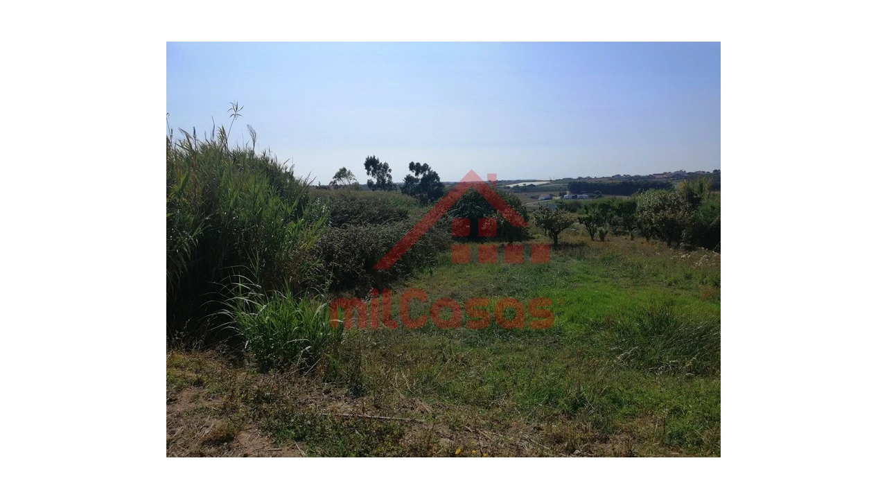 Terreno para Venda em Silveira Foto 3
