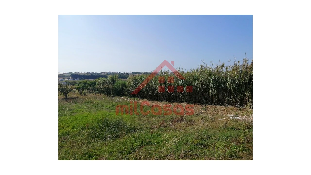 Terreno para Venda em Silveira Foto 4