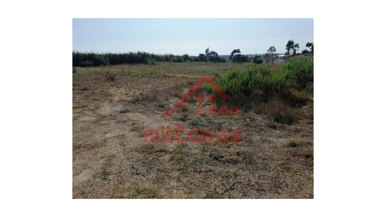 Terreno para Venda em Silveira Foto 6