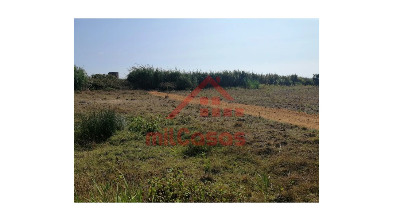 Terreno para Venda em Silveira Foto 7