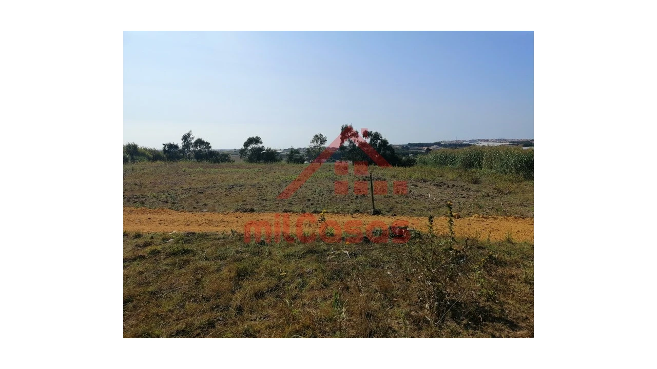 Terreno para Venda em Silveira Foto 8
