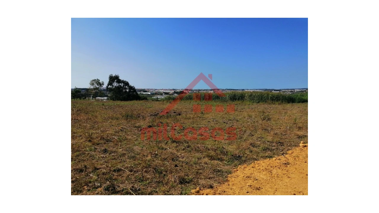 Terreno para Venda em Silveira Foto 9