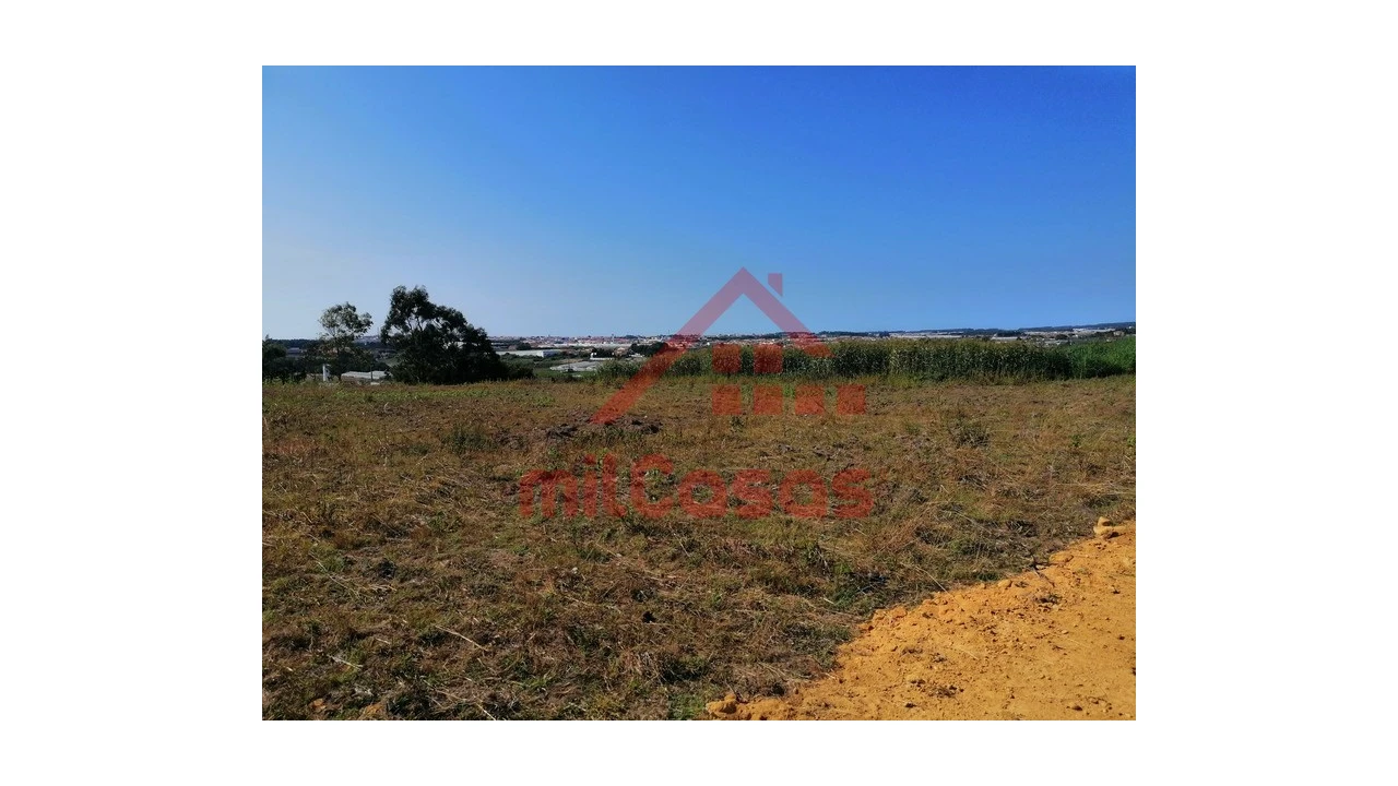 Terreno para Venda em Silveira Foto 12