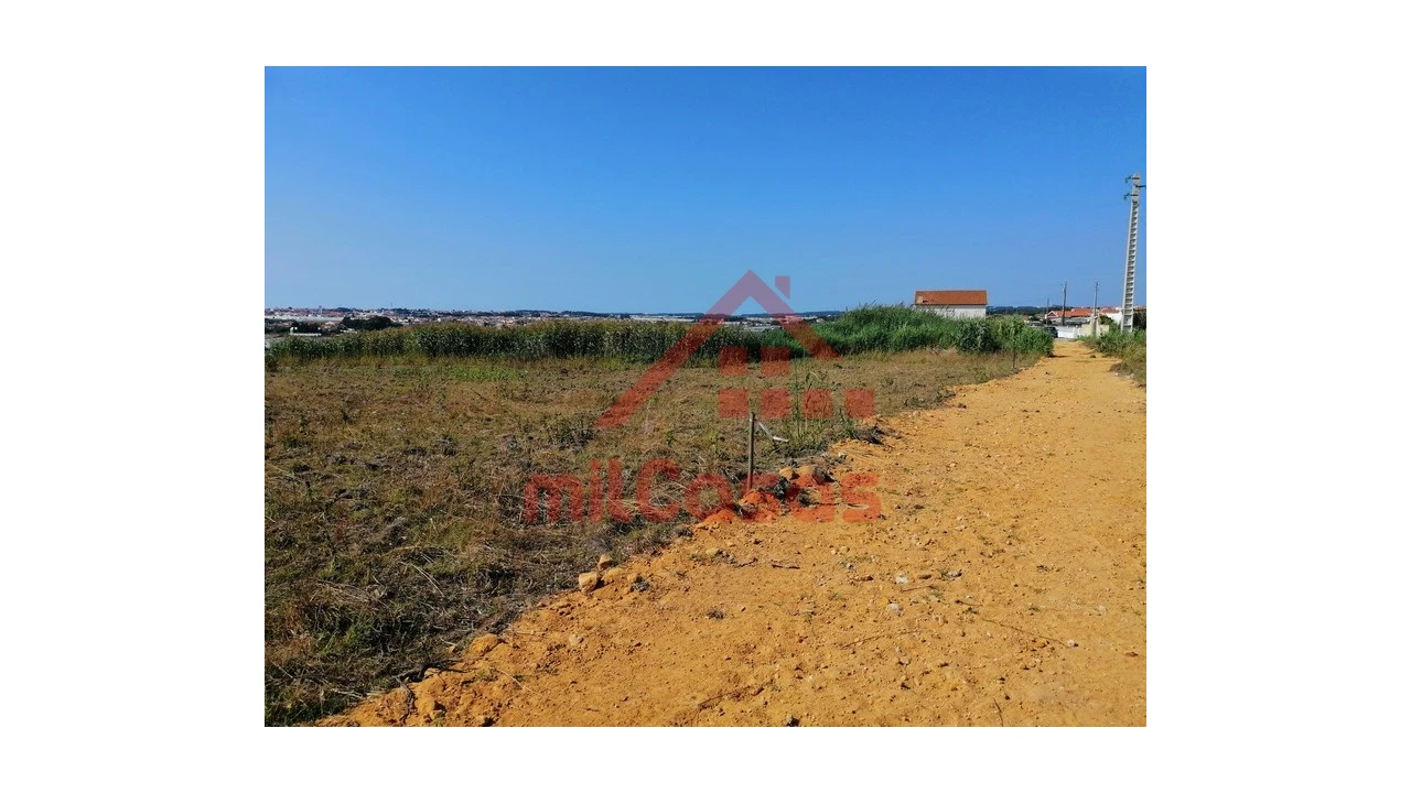 Terreno para Venda em Silveira Foto 14