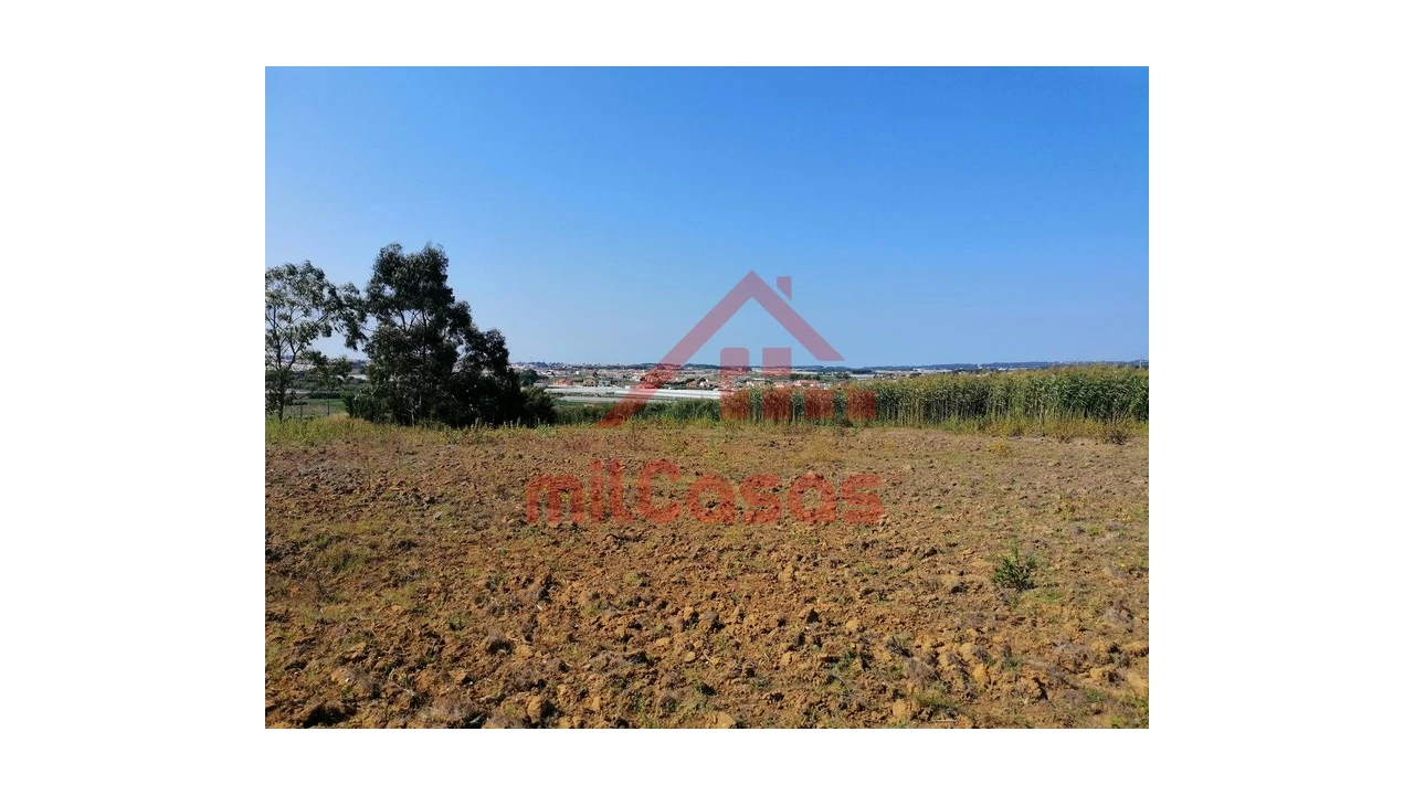 Terreno para Venda em Silveira Foto 15