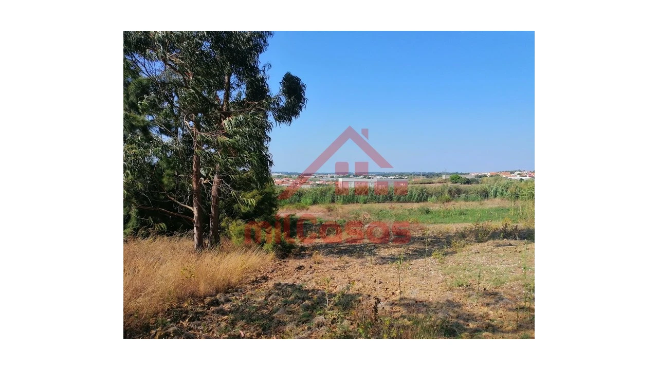 Terreno para Venda em Silveira Foto 19