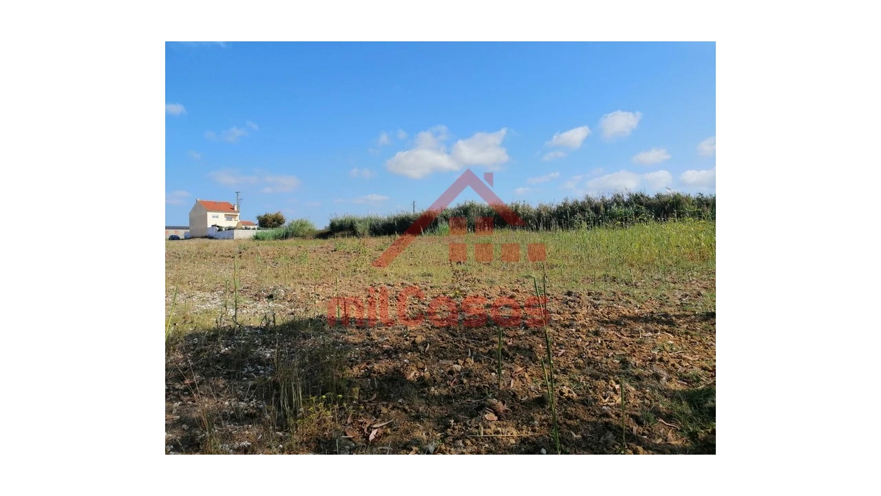 Terreno para Venda em Silveira Foto 21