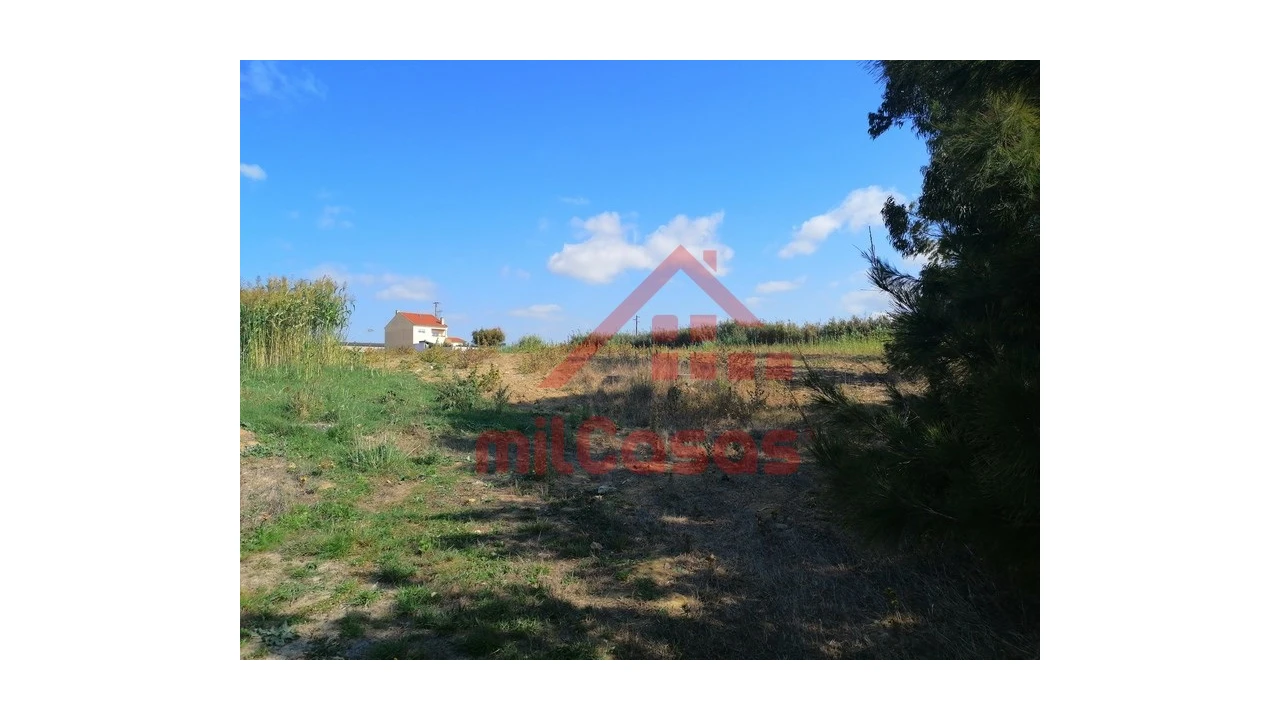 Terreno para Venda em Silveira Foto 22