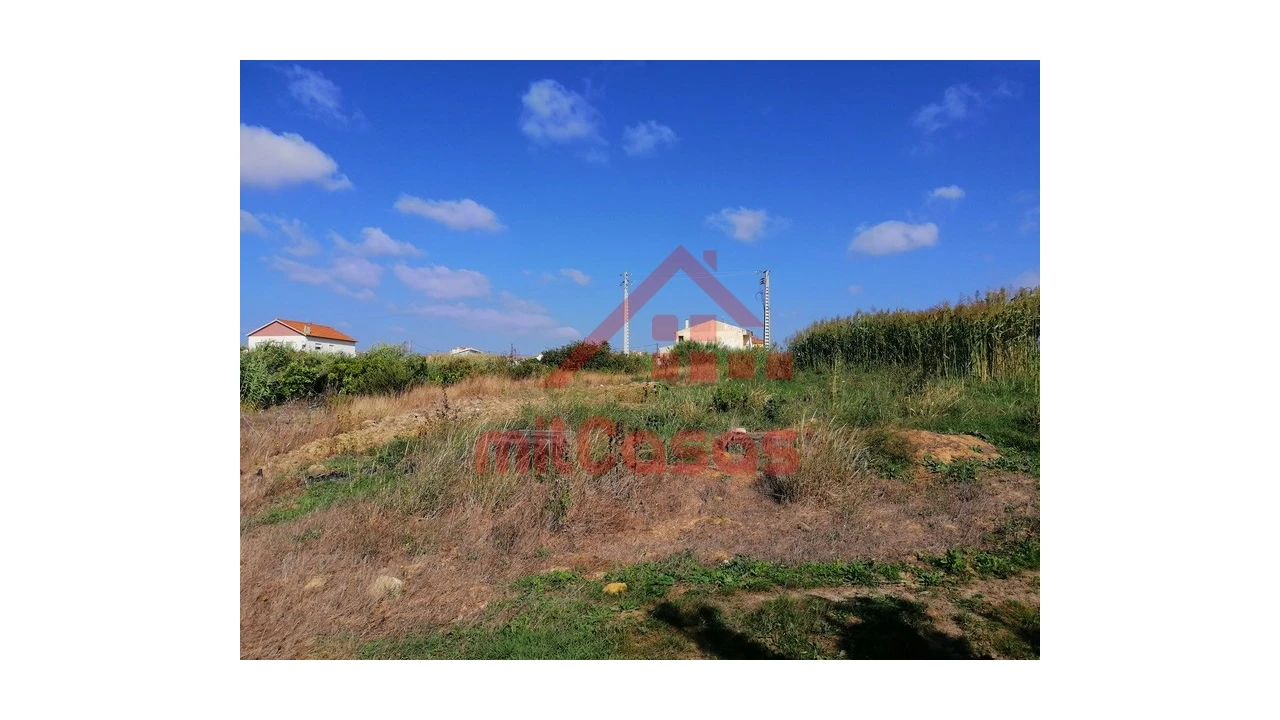 Terreno para Venda em Silveira Foto 23