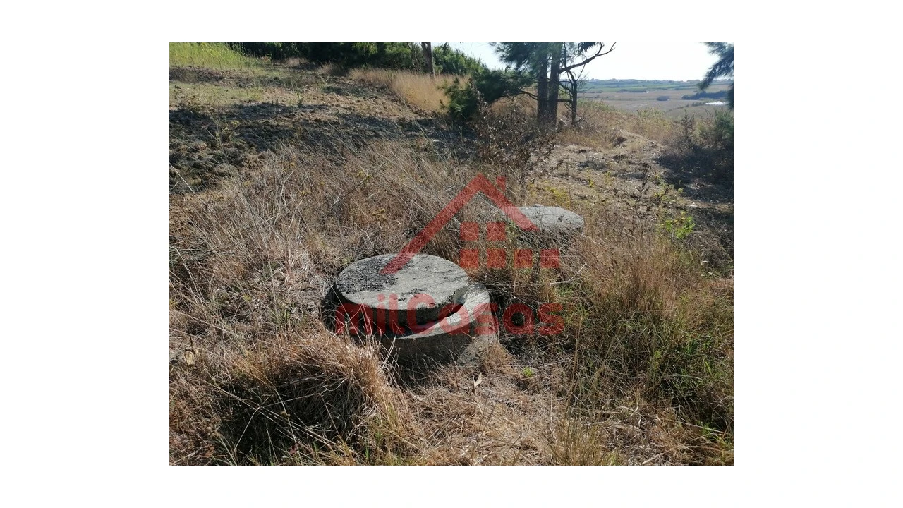 Terreno para Venda em Silveira Foto 24