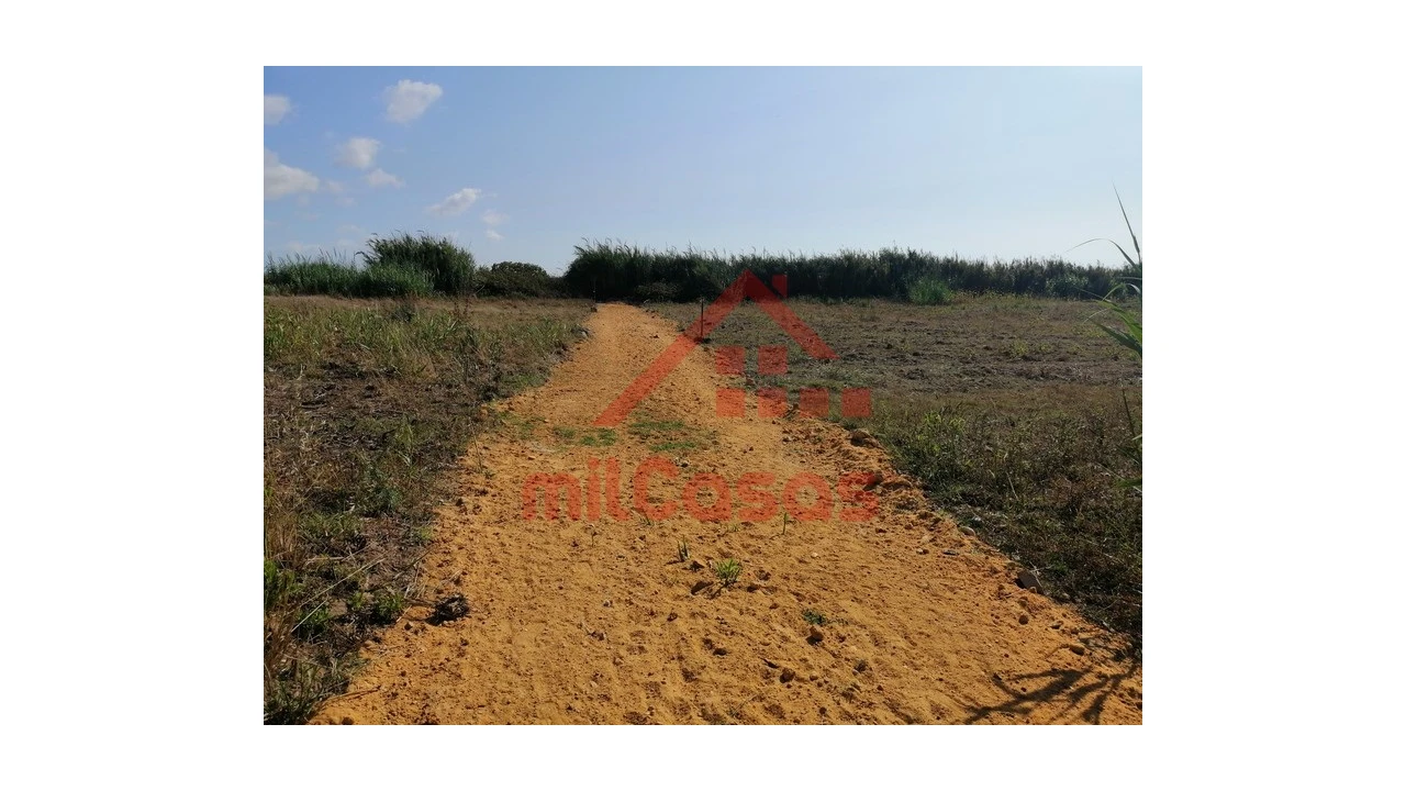 Terreno para Venda em Silveira Foto 25