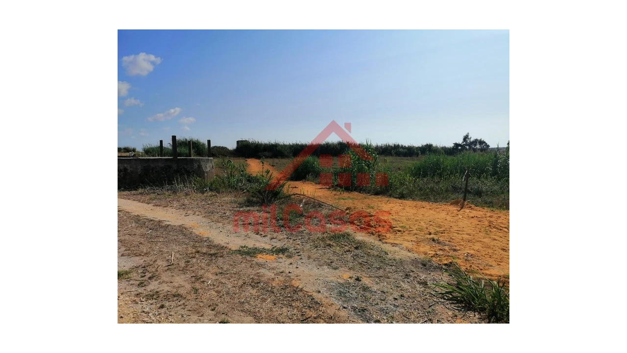 Terreno para Venda em Silveira Foto 26