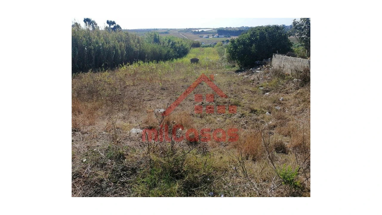 Terreno para Venda em Silveira Foto 27