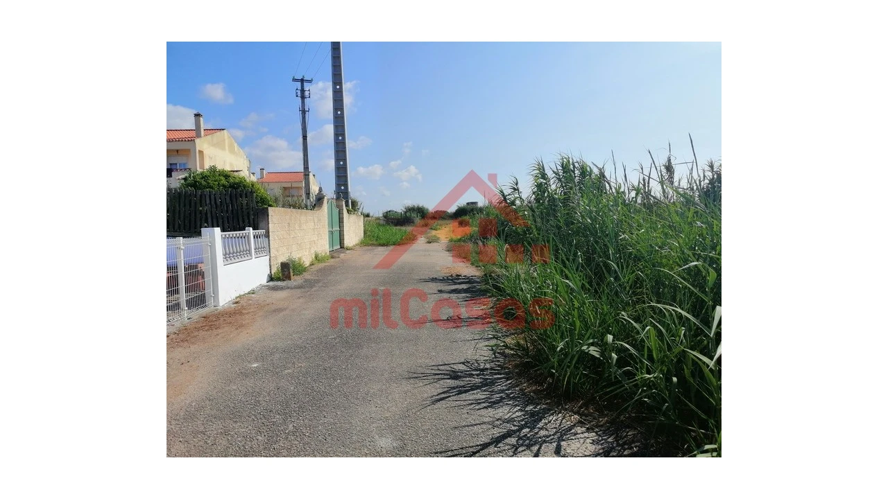 Terreno para Venda em Silveira Foto 29