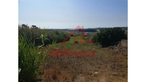 Terreno para Venda em Silveira