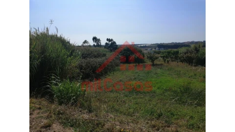 Terreno para Venda em Silveira