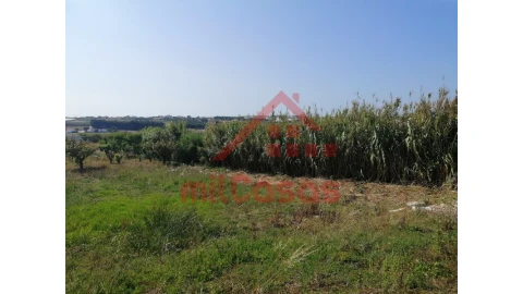 Terreno para Venda em Silveira