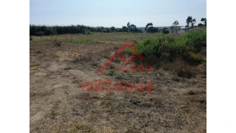 Terreno para Venda em Silveira