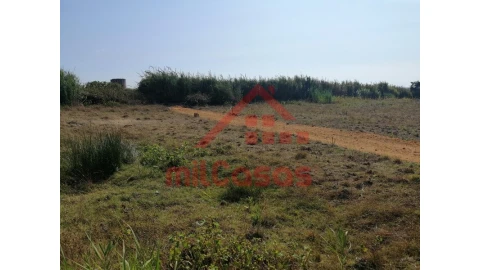 Terreno para Venda em Silveira