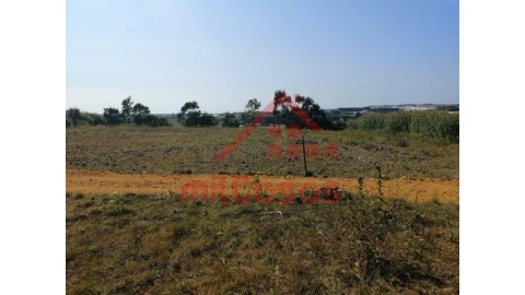 Terreno para Venda em Silveira