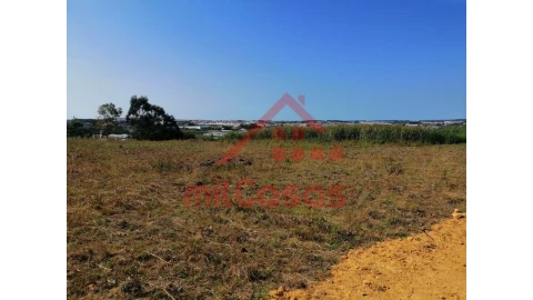Terreno para Venda em Silveira