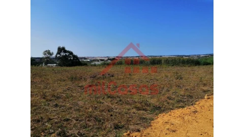 Terreno para Venda em Silveira