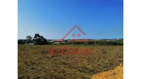 Terreno para Venda em Silveira