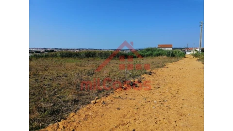 Terreno para Venda em Silveira