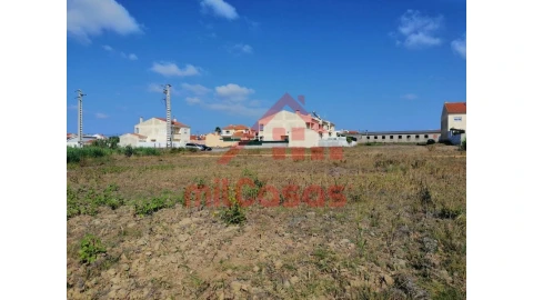 Terreno para Venda em Silveira