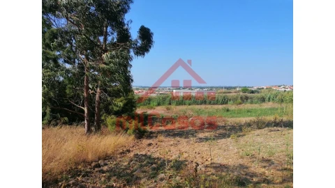 Terreno para Venda em Silveira