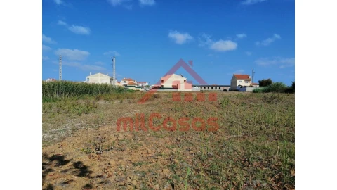 Terreno para Venda em Silveira