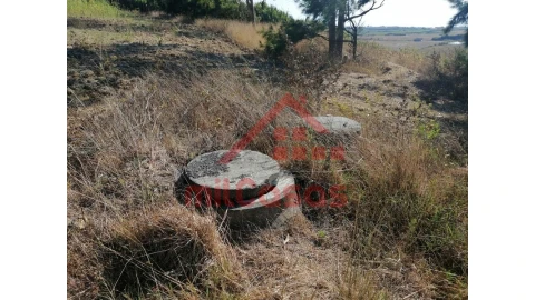 Terreno para Venda em Silveira