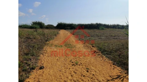 Terreno para Venda em Silveira