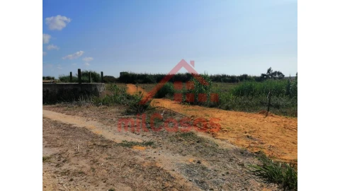 Terreno para Venda em Silveira