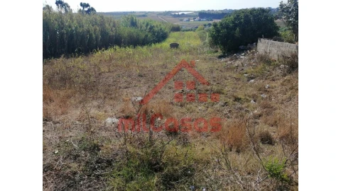 Terreno para Venda em Silveira