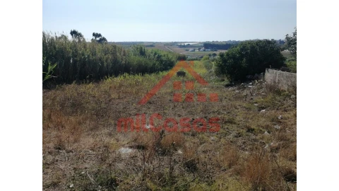 Terreno para Venda em Silveira