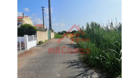 Terreno para Venda em Silveira
