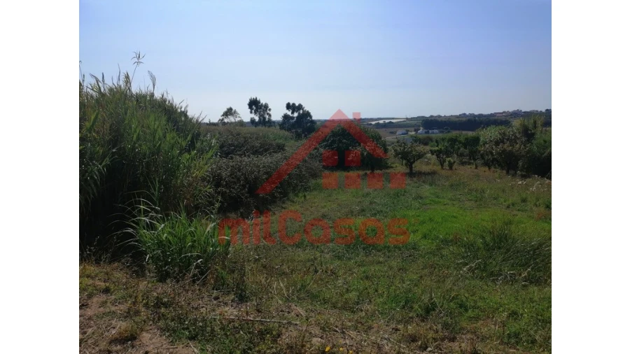 Terreno para Venda em Silveira Foto 3