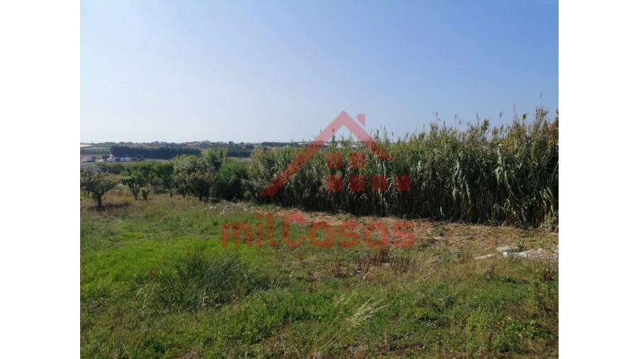 Terreno para Venda em Silveira Foto 4
