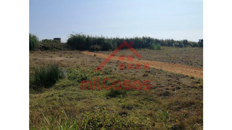 Terreno para Venda em Silveira Foto 7