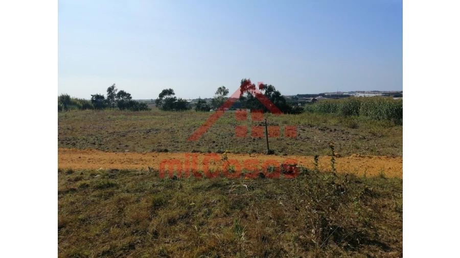 Terreno para Venda em Silveira Foto 8
