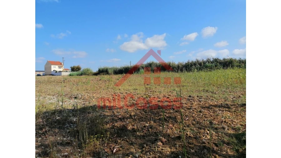 Terreno para Venda em Silveira Foto 21
