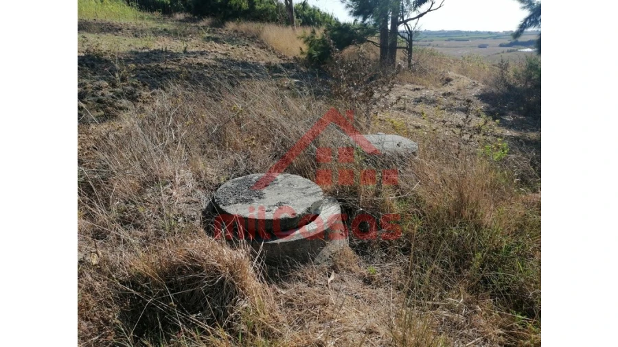 Terreno para Venda em Silveira Foto 24