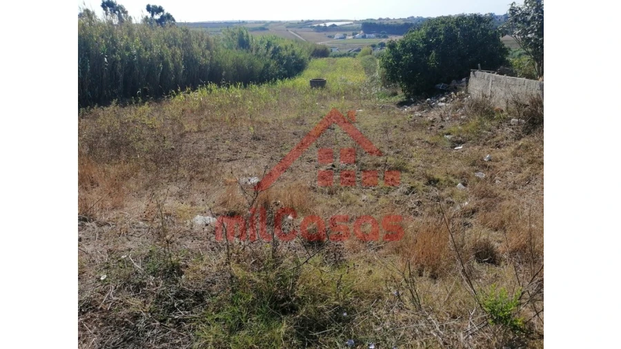 Terreno para Venda em Silveira Foto 27