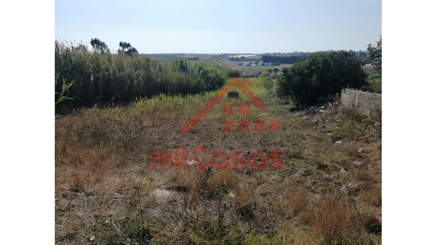 Terreno para Venda em Silveira Foto 28