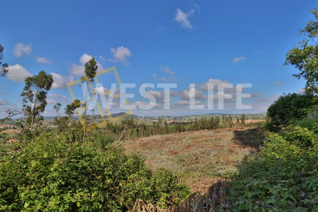 Terreno Misto para Venda em Azueira e Sobral da Abelheira Foto 3